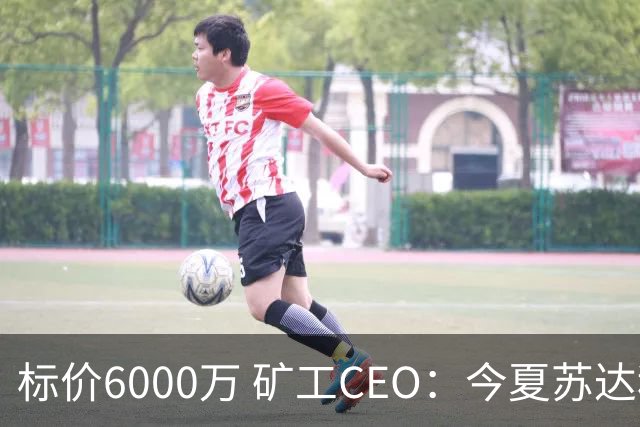 标价6000万 矿工CEO：今夏苏达科夫肯定去豪门